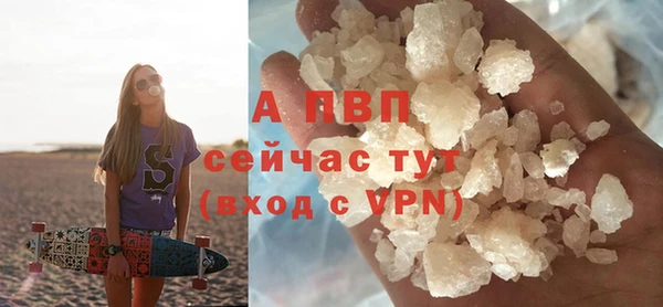 гашик Волосово