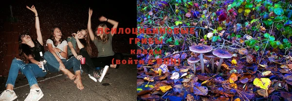 скорость Володарск