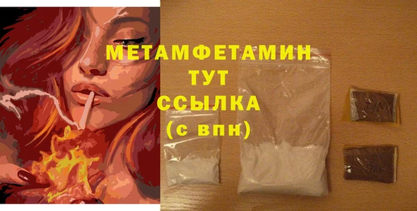 прущие грибы Верея
